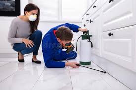 Emergency Pest Control Services in Antioch, CA